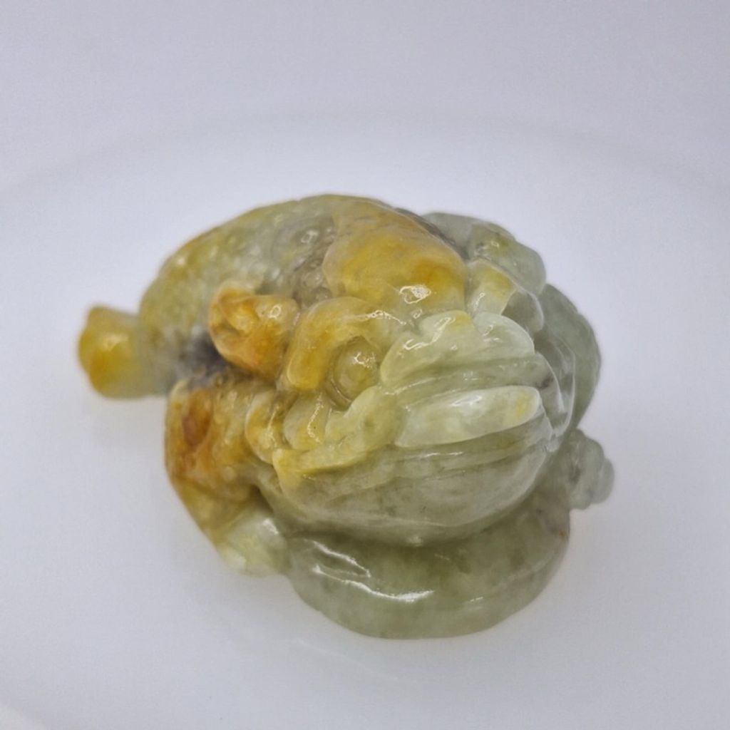 tw-11134207-7r98w-lxanhrtk43e806