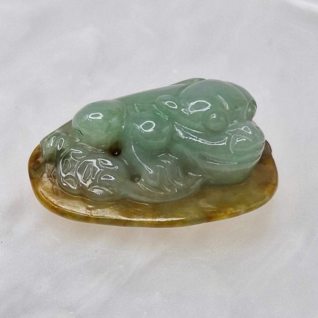 tw-11134207-7r98v-lzzynmjleqwc54