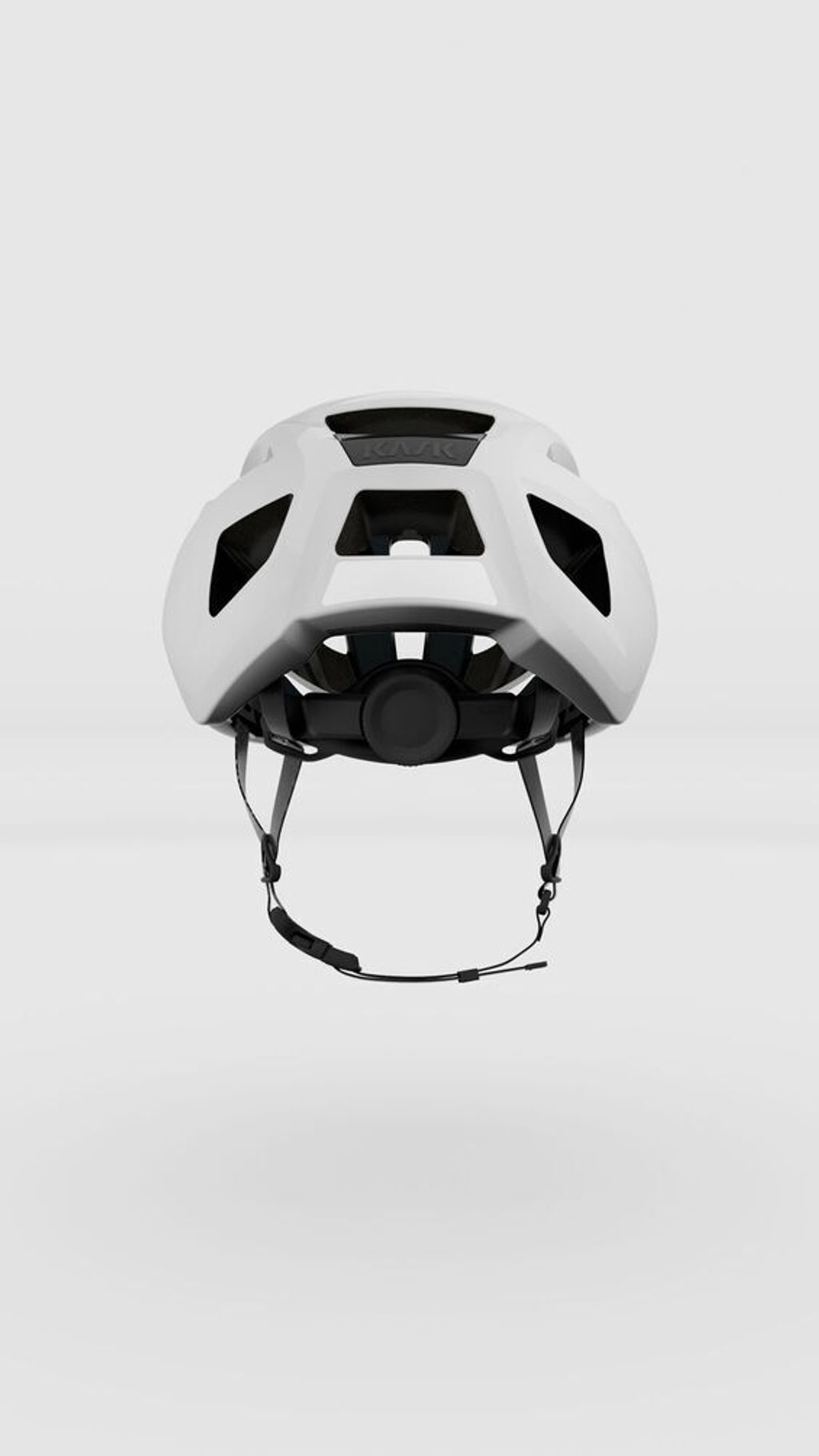 8f0046dd6b99db755b68c6a55fdd7eff4a116aeb_sintesi_kask_render_back_CHE00100__201