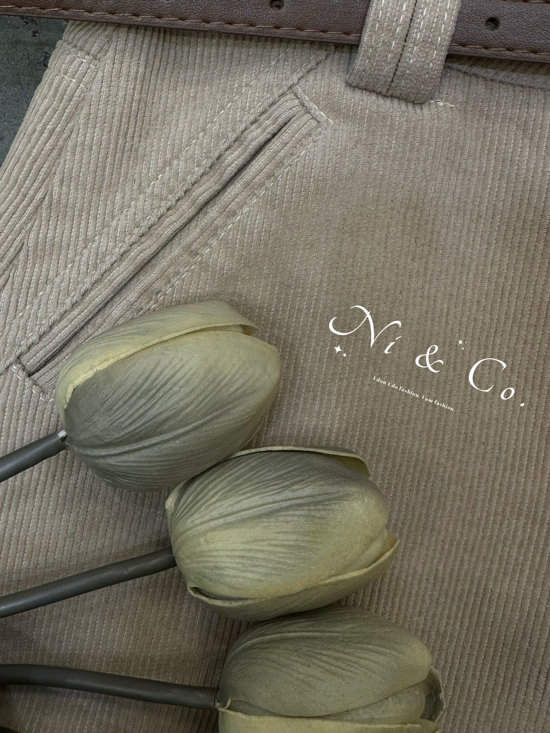 IMG_5414-1737817142402