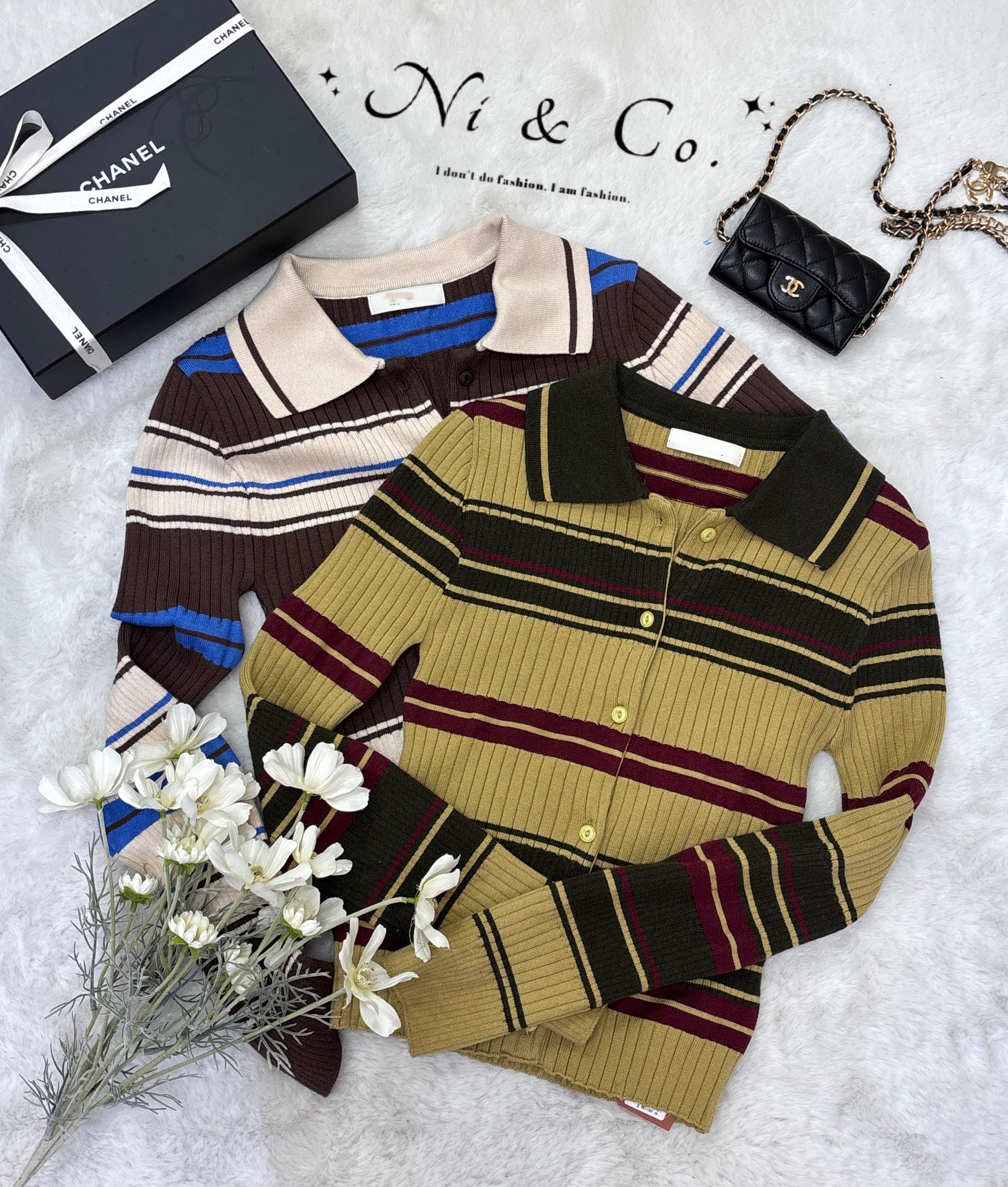 image_887BA913-B01E-4629-897E-9FD2494E0B5D_1763203539