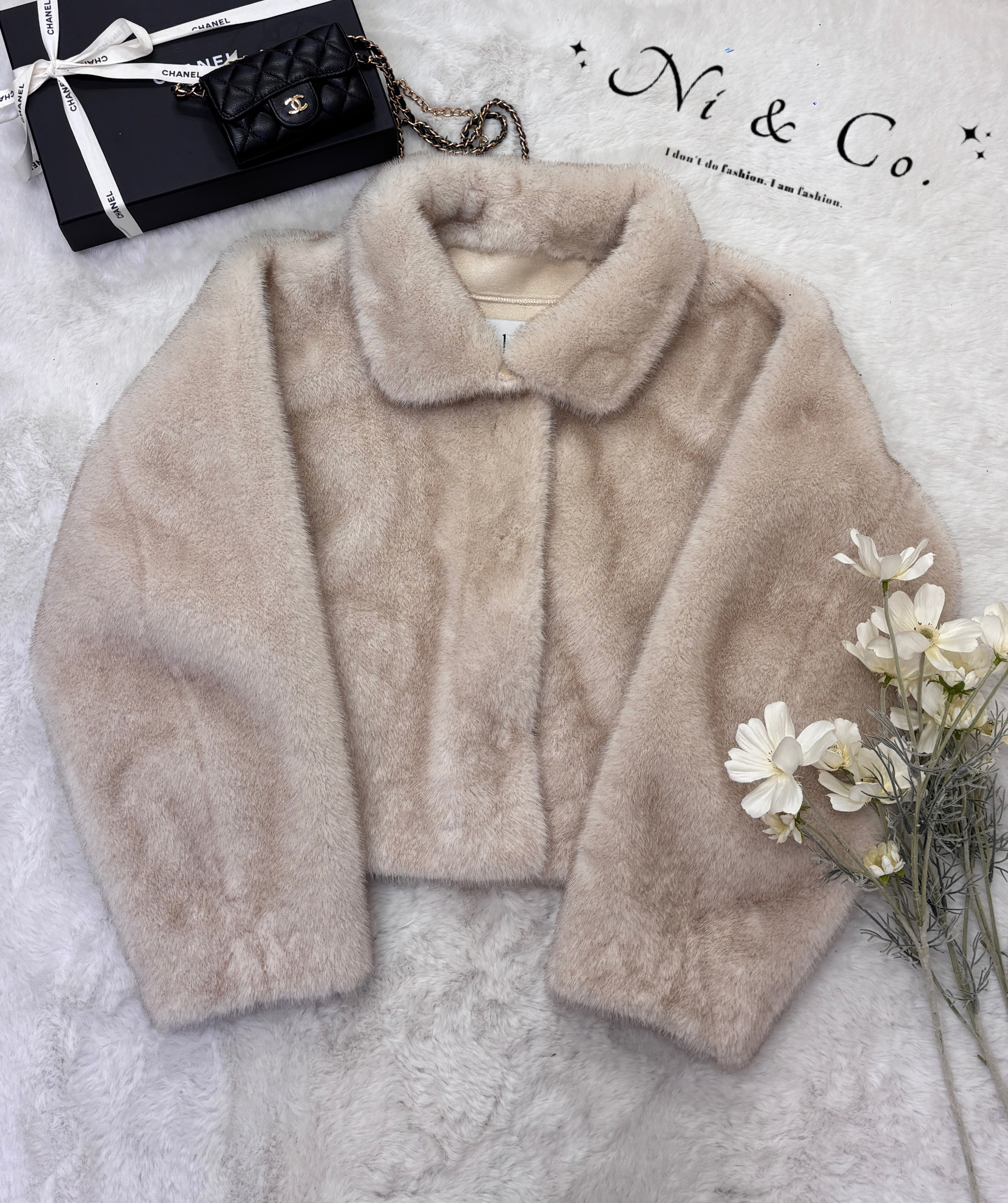 image_97376AEF-98AA-49A8-9AA7-8B032E5CA145_1766582624