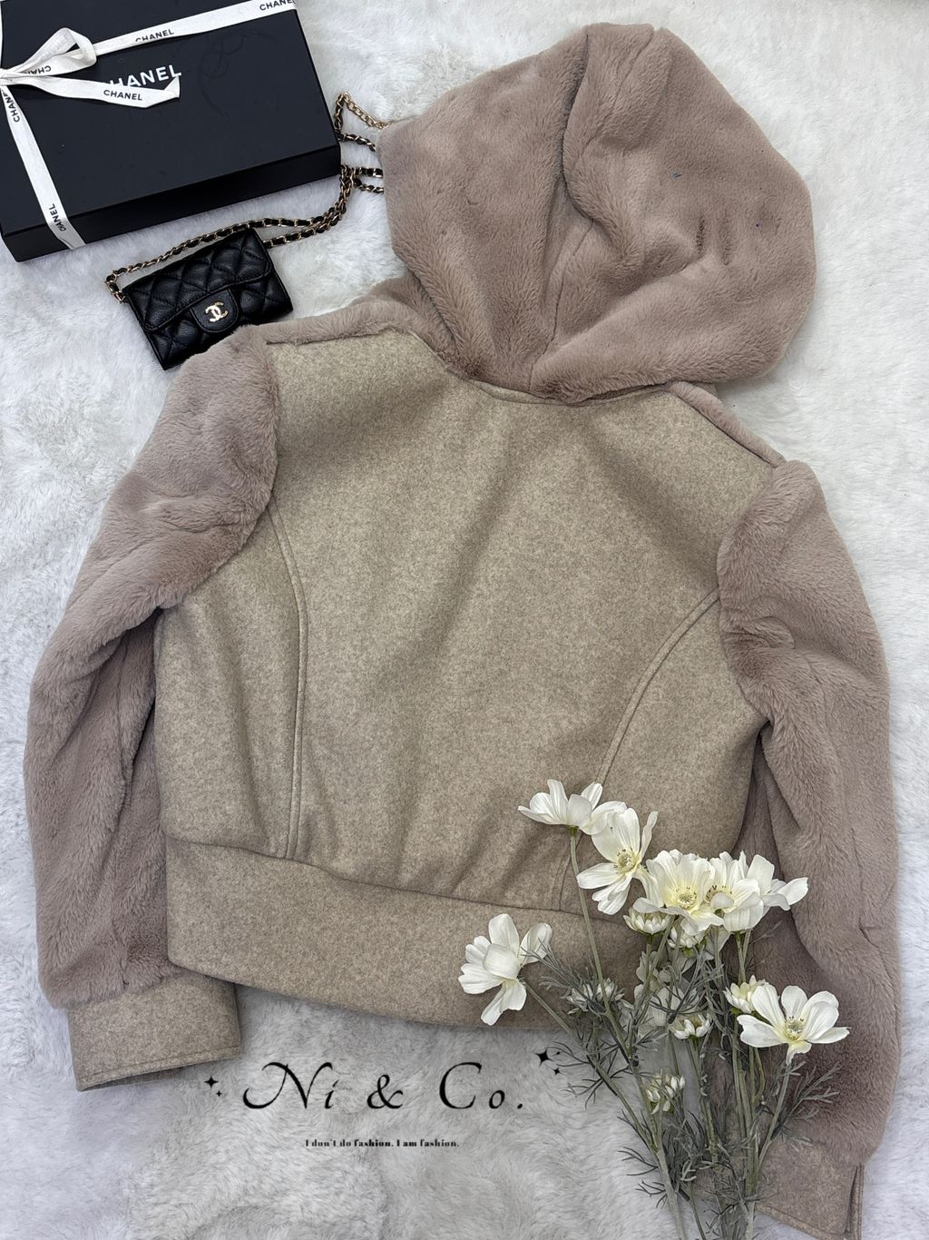 image_C76A8010-083C-48FB-9ADC-6814058449D2_1766584457