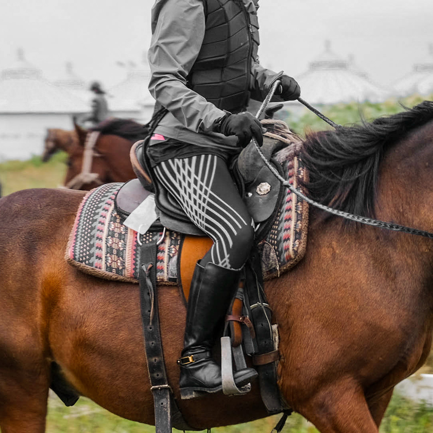 CP_SF_W_Pic_1500_Horse