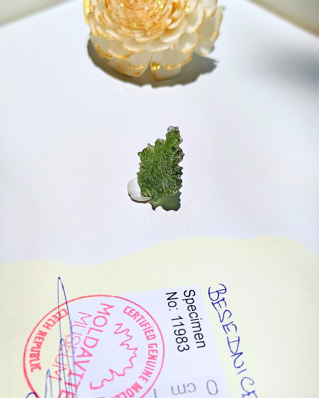 捷克隕石-刺蝟1g58 (2)
