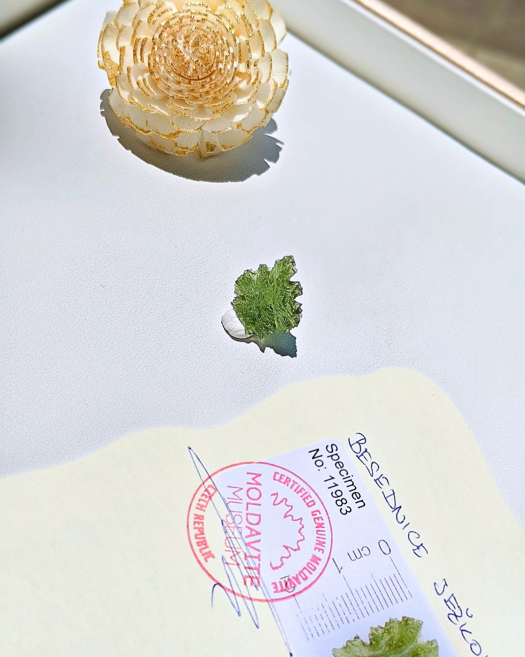 捷克隕石-刺蝟1g58 (1)