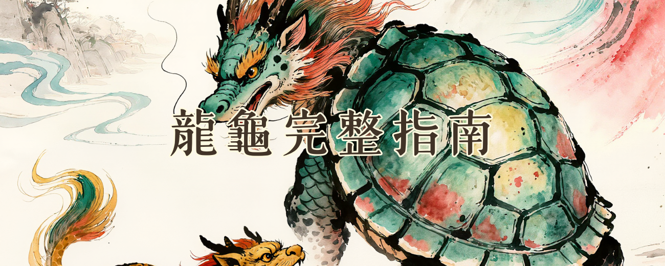 🐉 龍龜作用、效果、擺放位置與禁忌完整指南