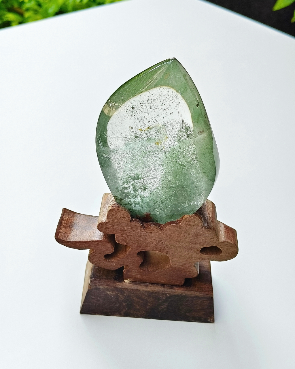 綠幽靈-事業有成 (2)