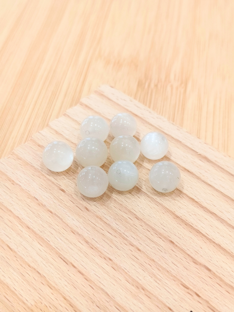 非洲白月光