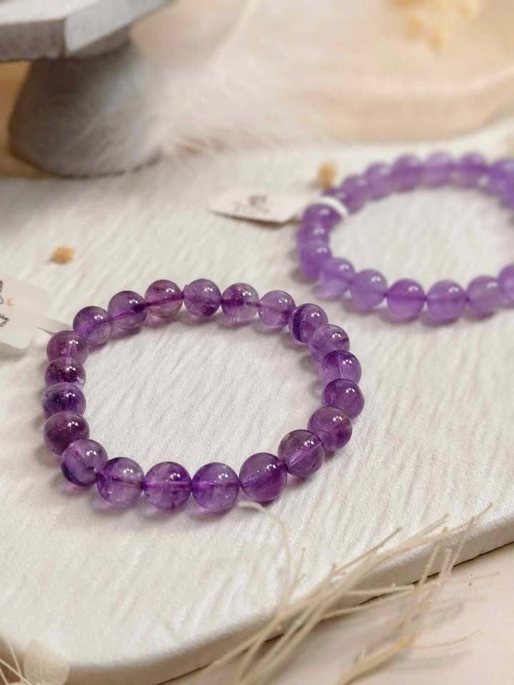 紫兔毛和紫超七4