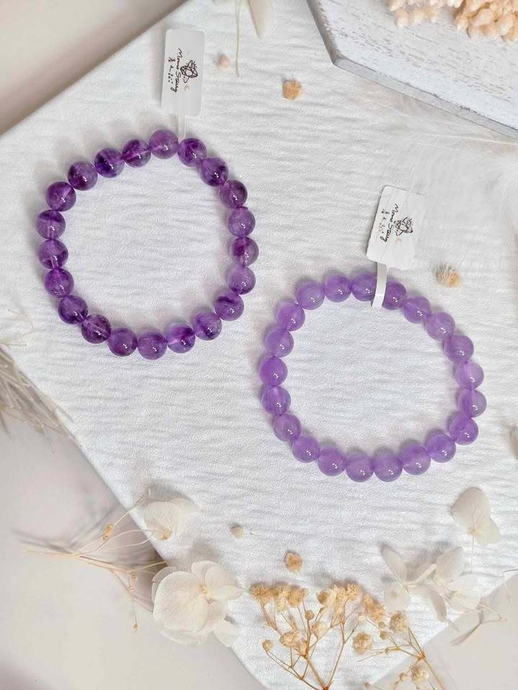 紫兔毛和紫超七2