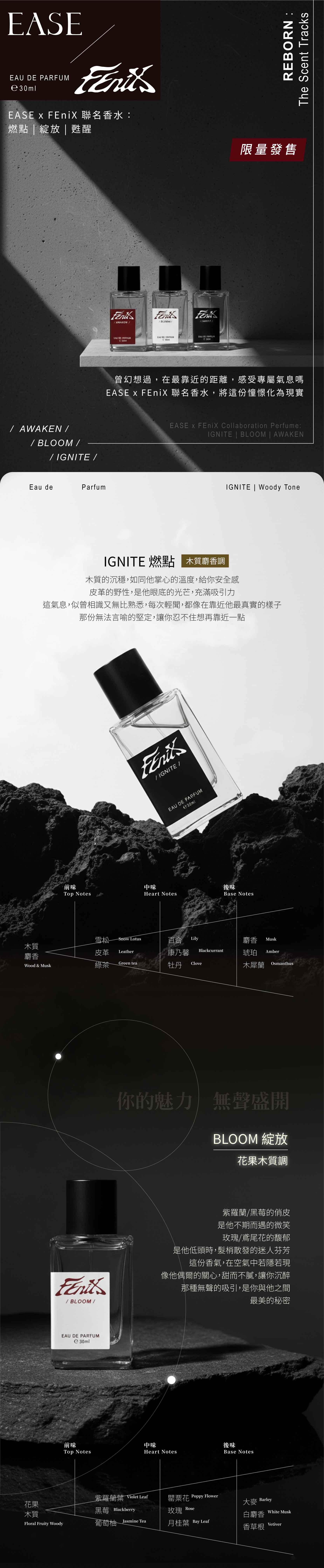 FEniX產品說明-01