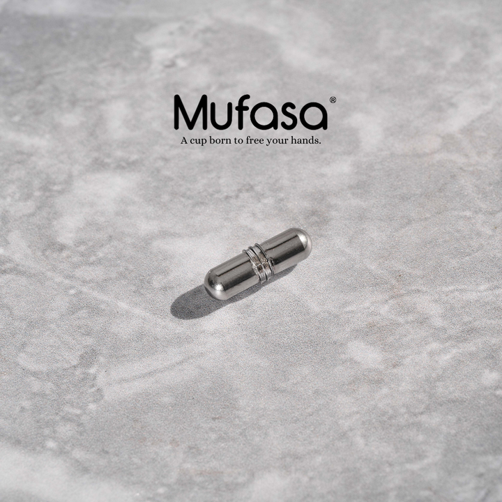 2代 4代 1000x1000 mufasa bn  (19)
