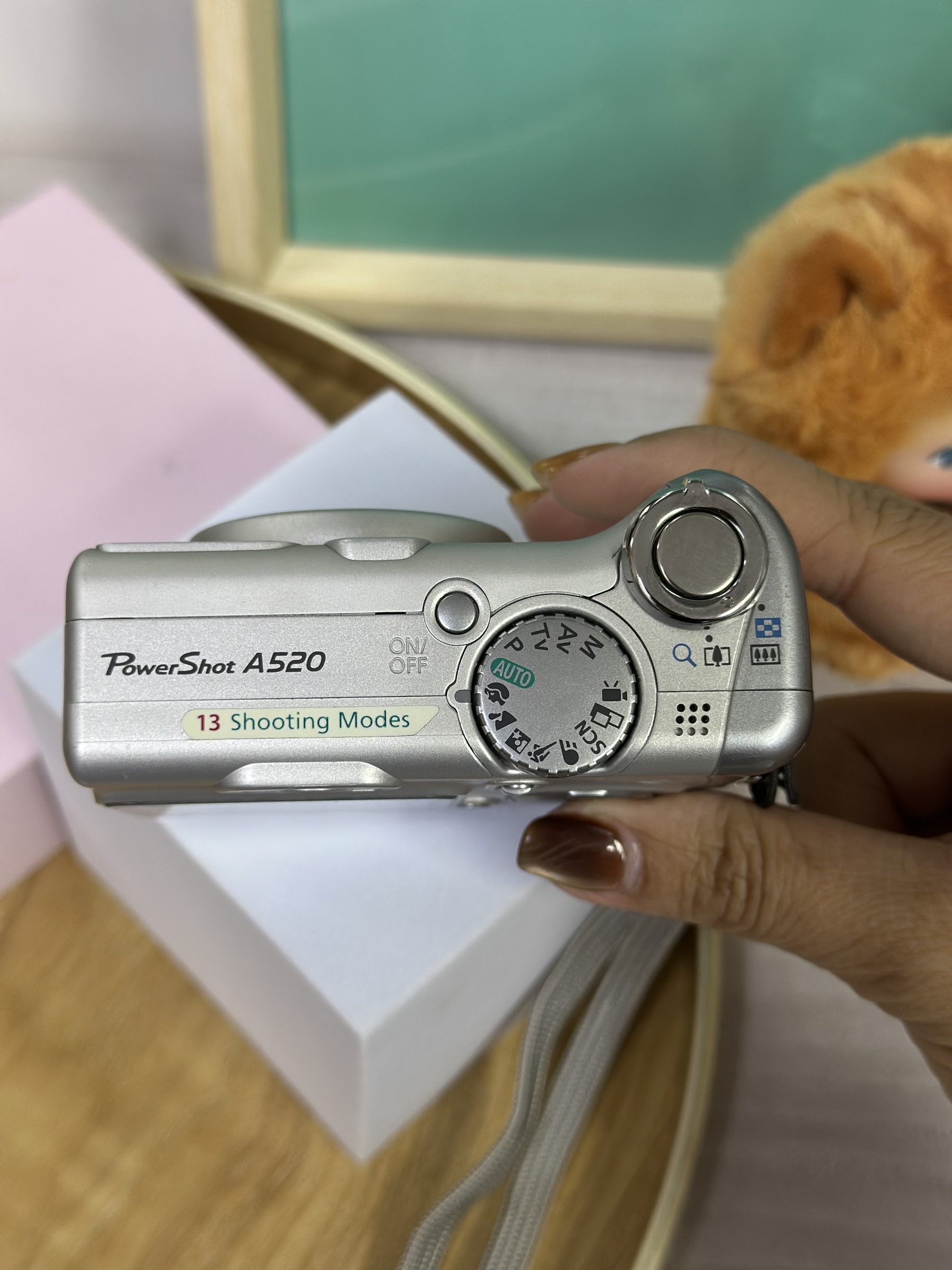 IMG_2553-1732180093823