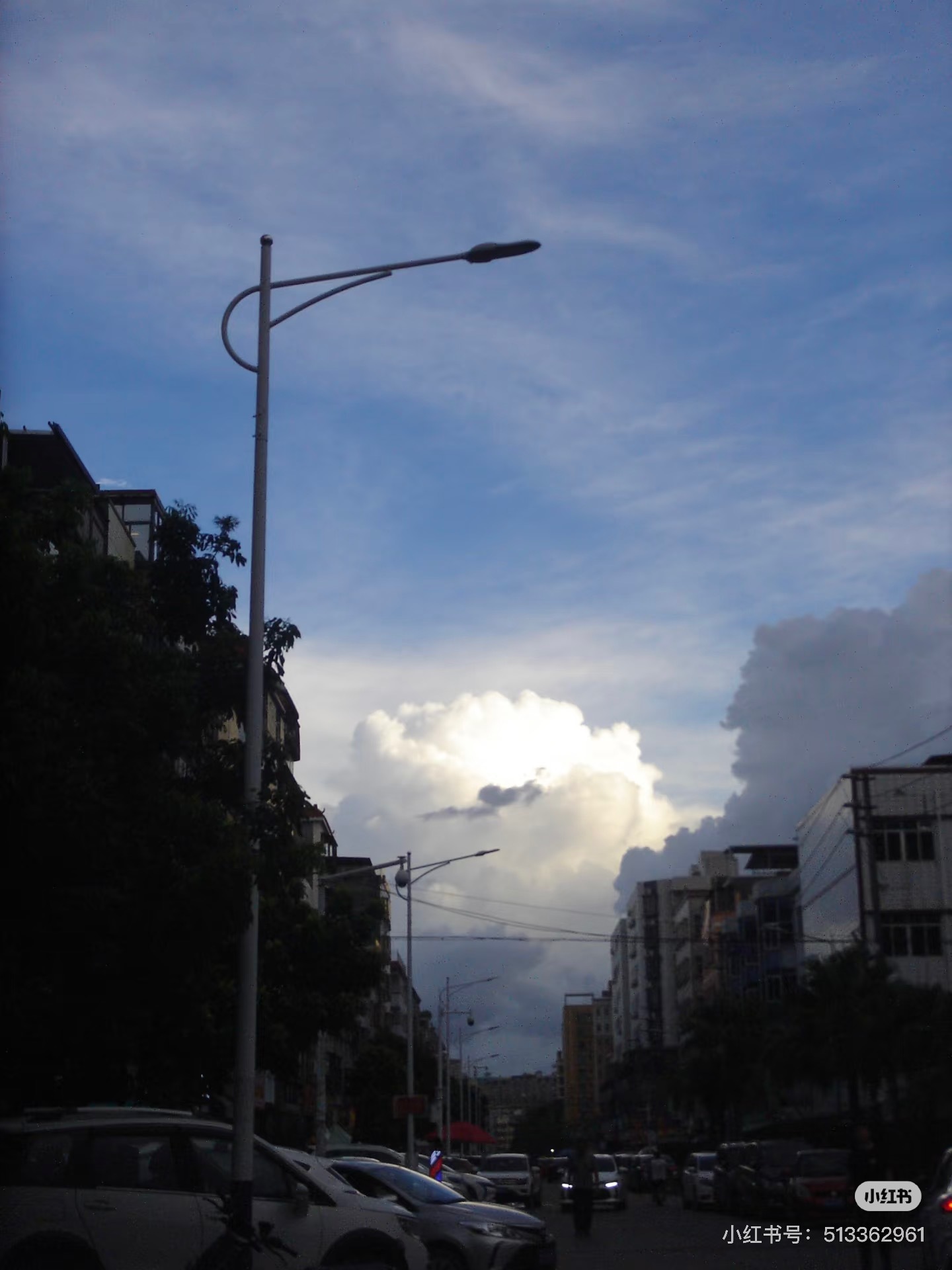 IMG_3805-1735616865594