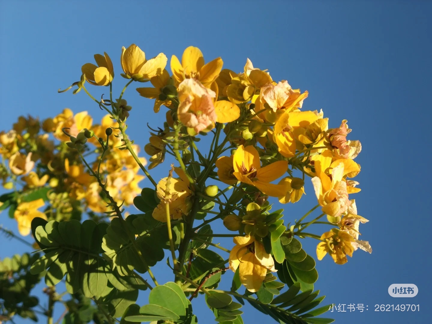 IMG_5055-1740465879688