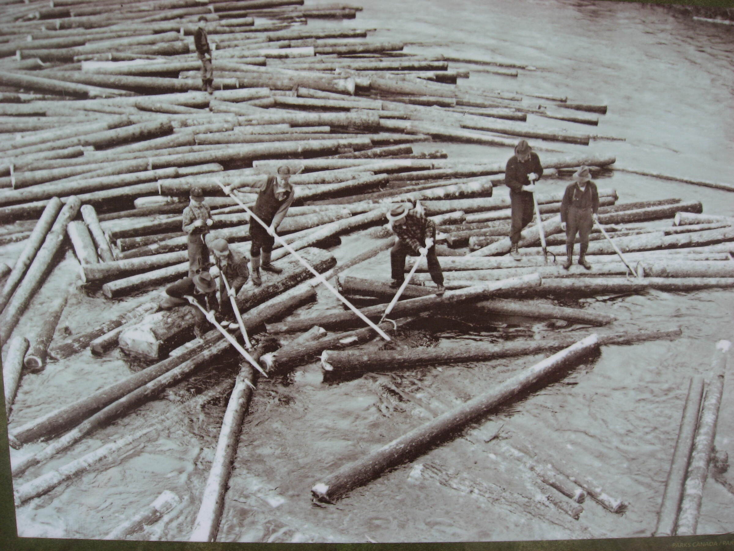 image_8987BAF9-00D2-4A5D-81C1-14FA07173C52_1751009604