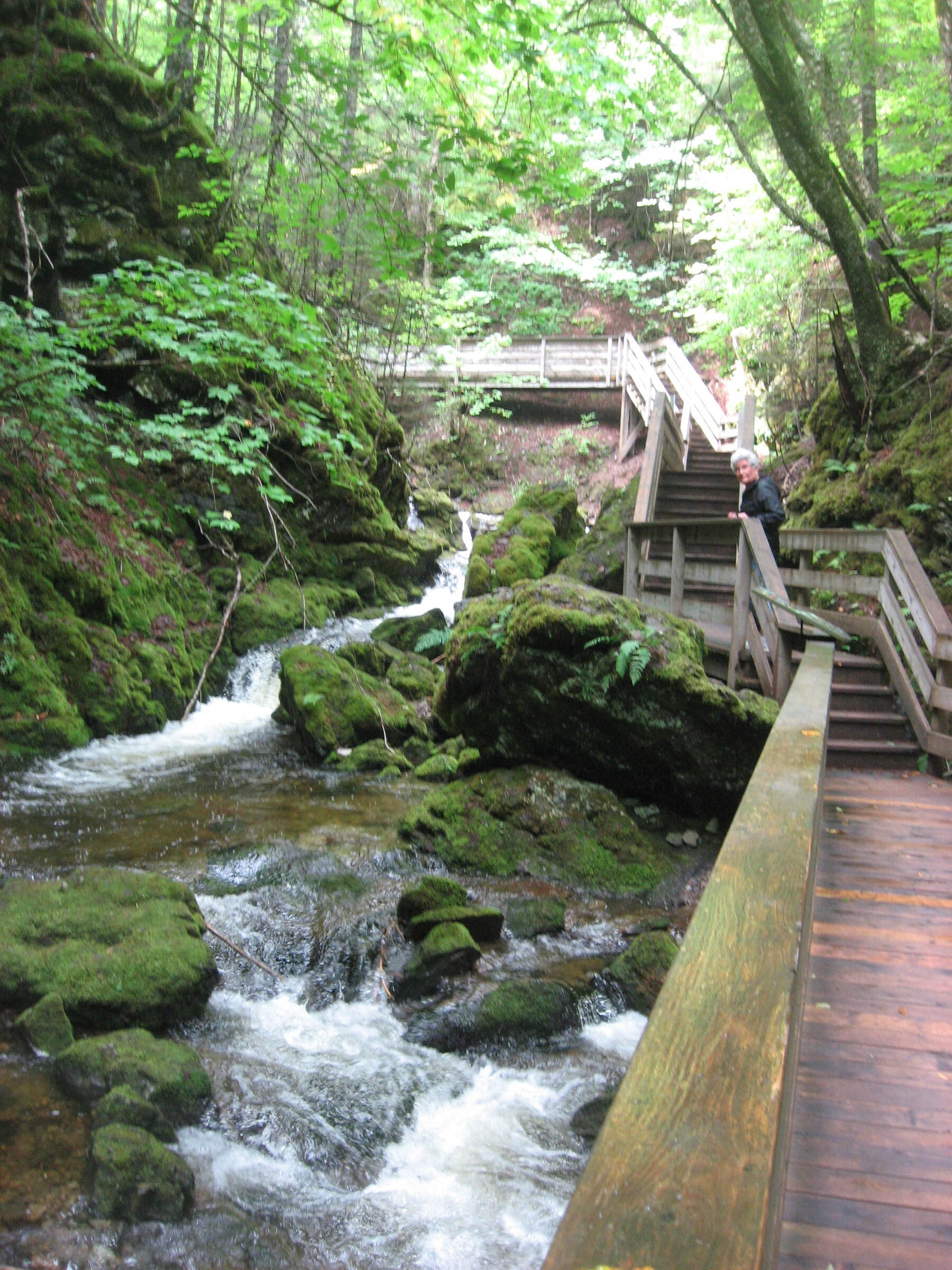 image_87402C0D-12FA-43FB-B46D-A3491B9A24F5_1751009604