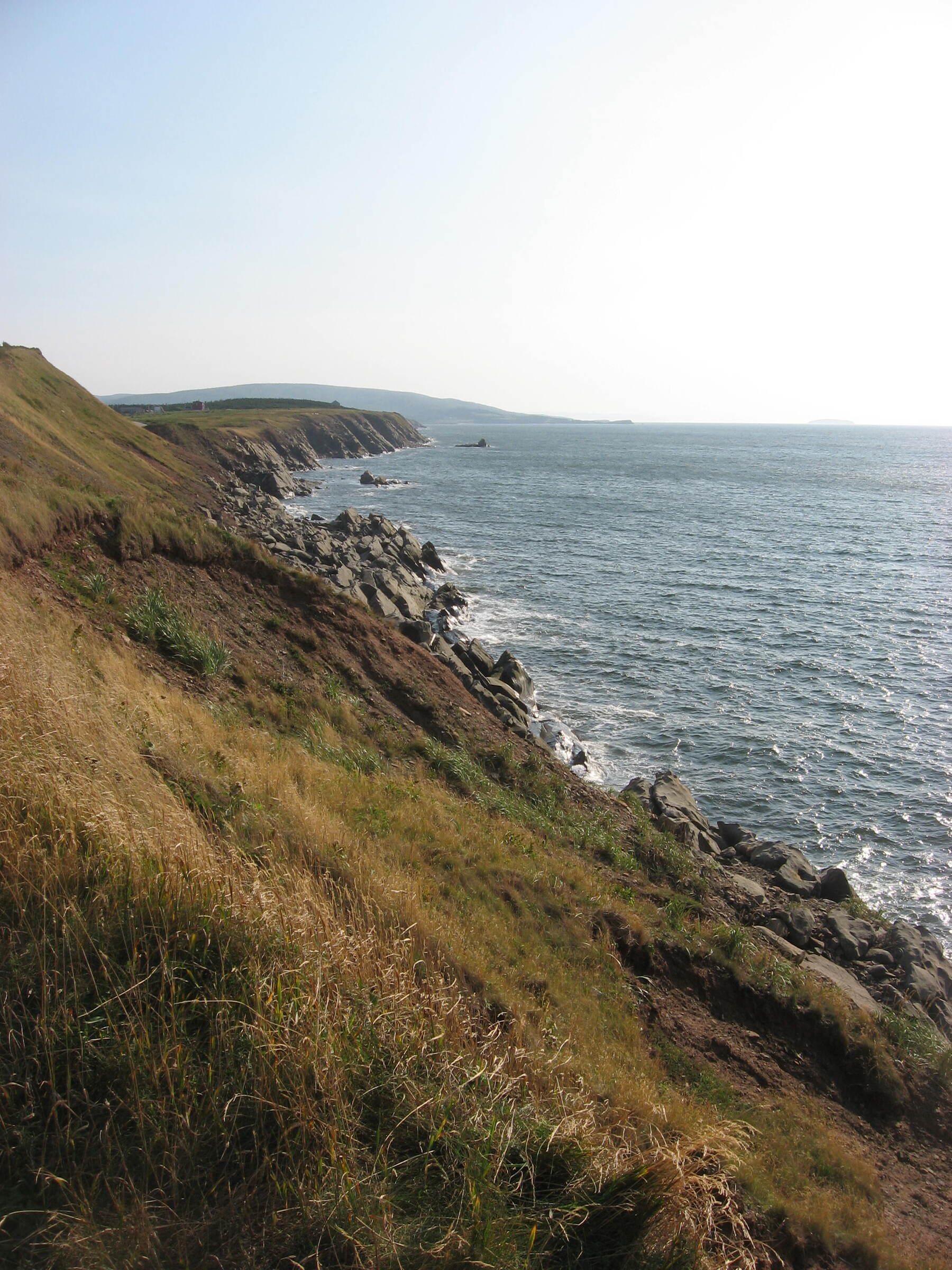 image_FCB06794-416E-4D70-BB74-62E872AC46CF_1751009604