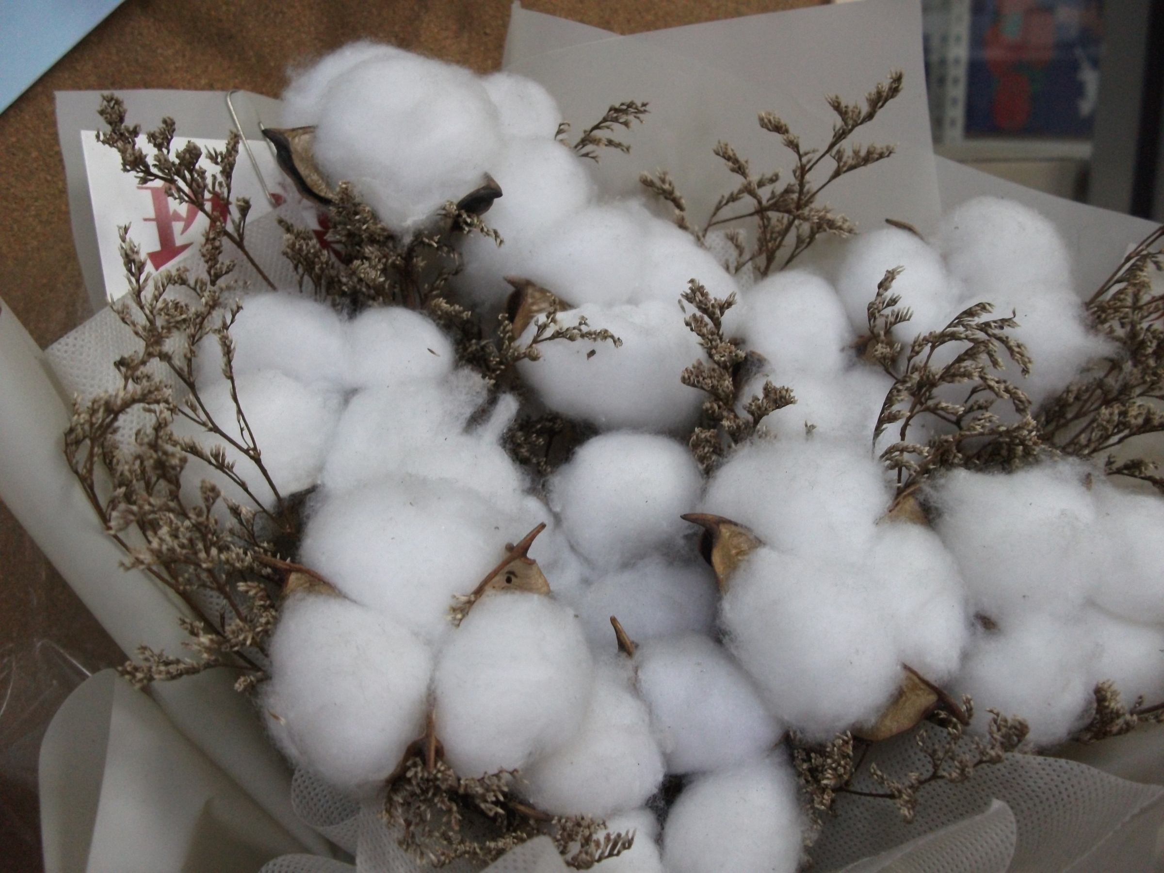 image_8DD23273-B5D4-4DA5-86A9-B20F3AC33D4F_1751010111