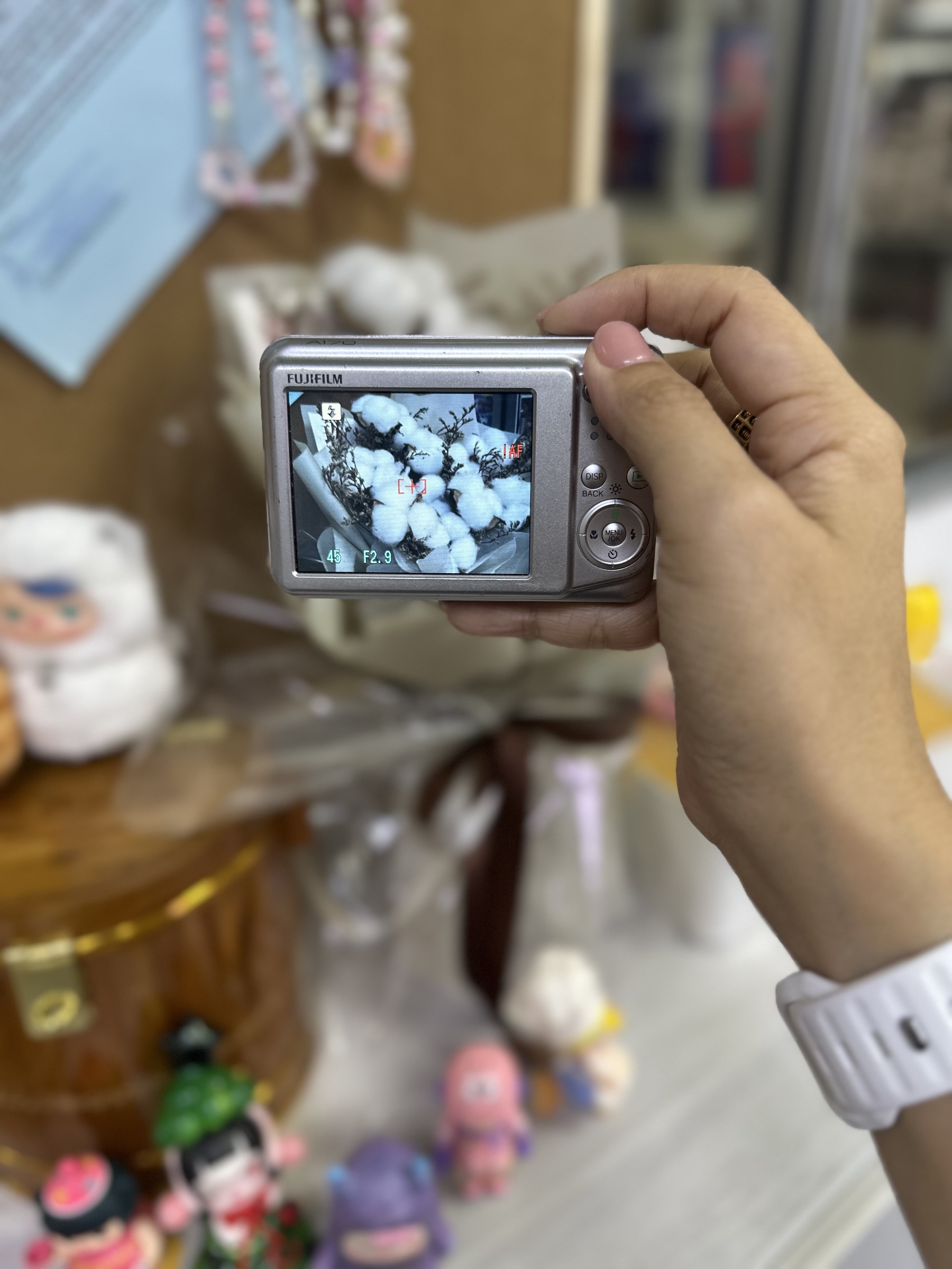 image_F33ACFA6-B599-461D-BE16-EC825B172A91_1751010111