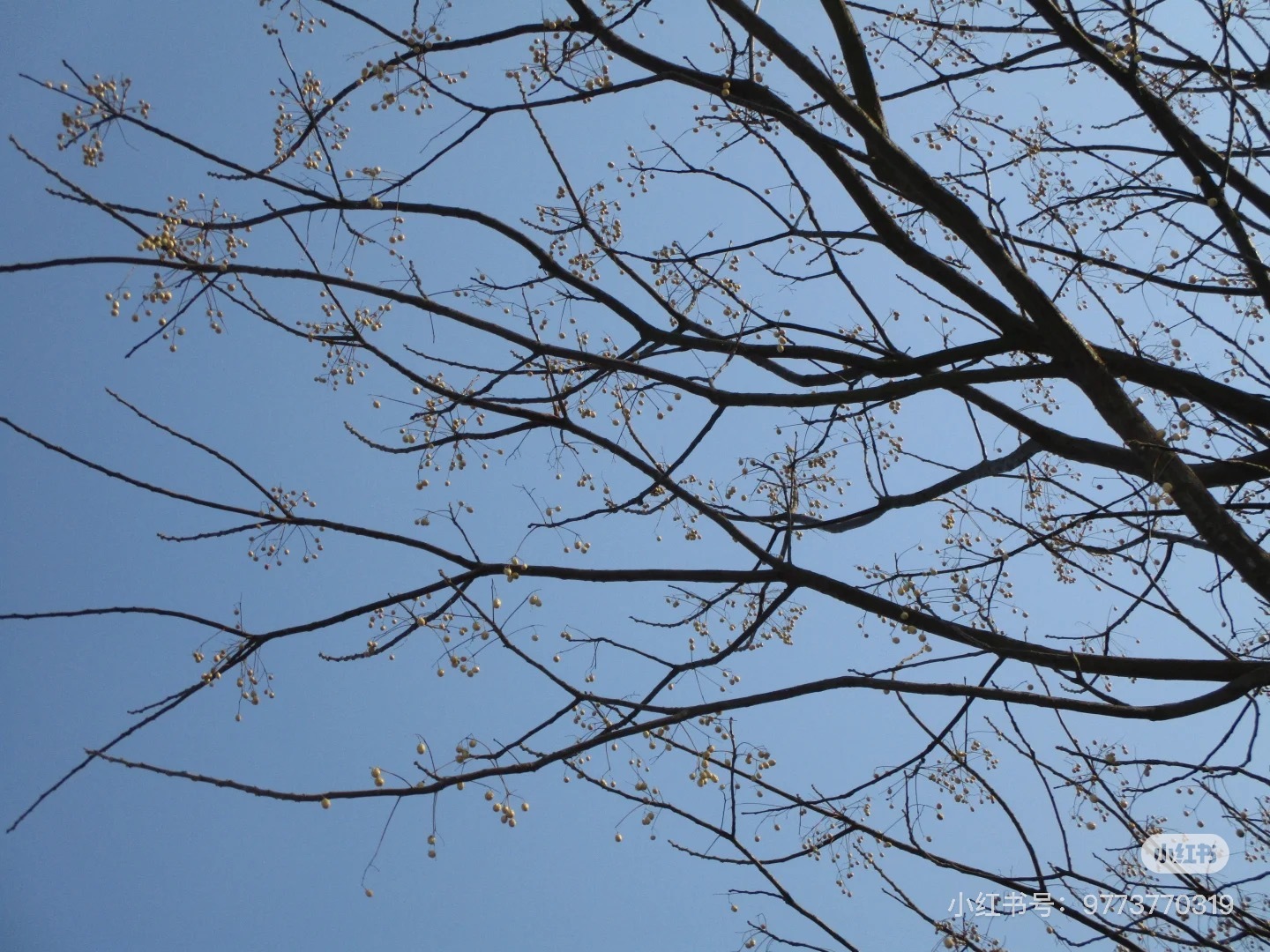 image_C5C77B82-D307-4960-A0E4-D20D935883DE_1751011505