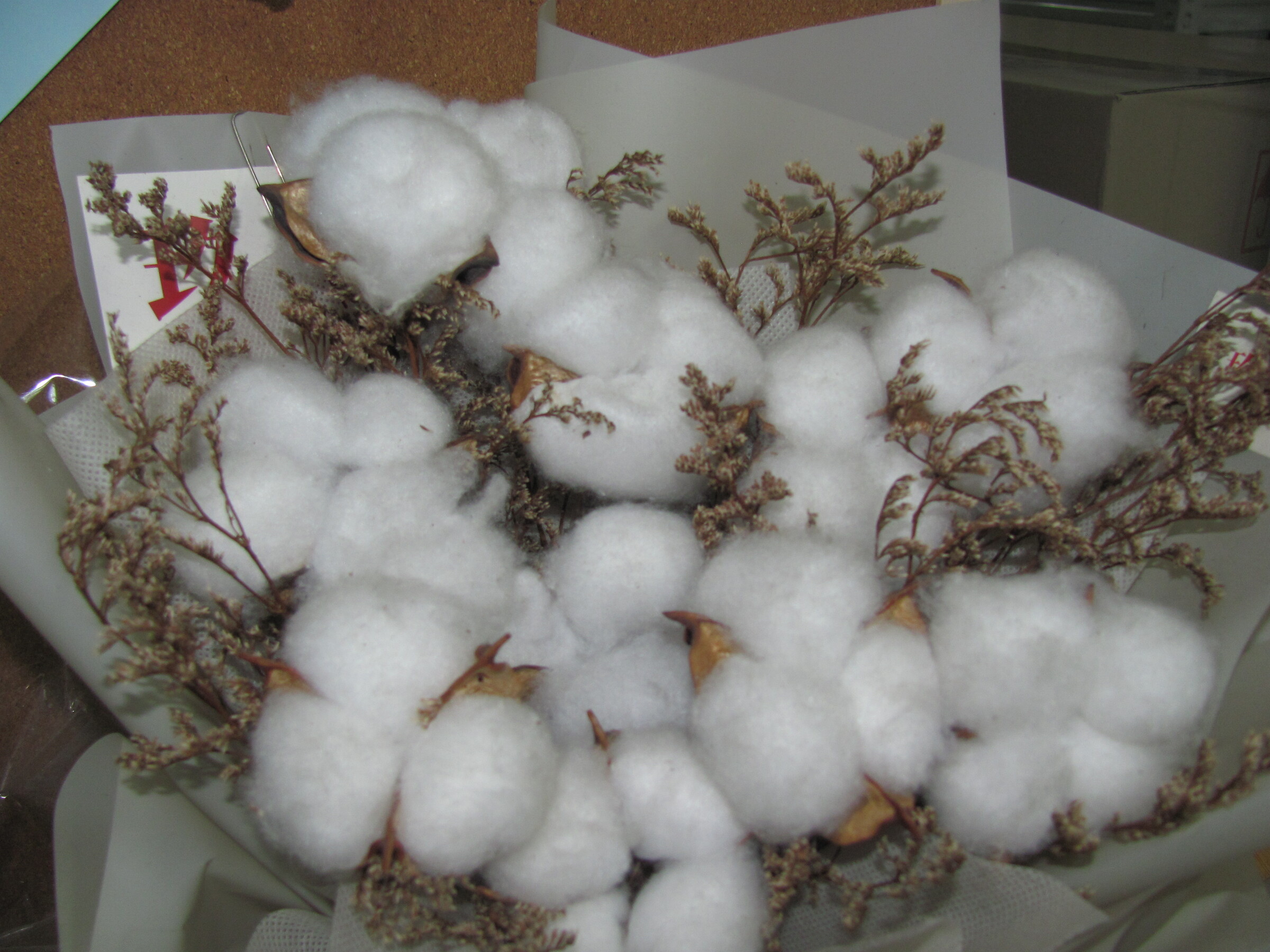 image_BA7ED592-FA9C-4BE7-9405-72B2C814BEE1_1751012181