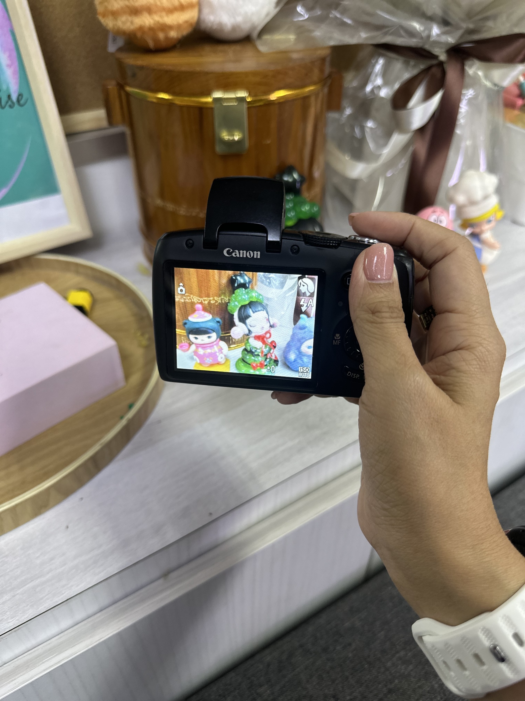 image_81D77BD1-4626-4F02-B99A-23FCBB277A5E_1751012182