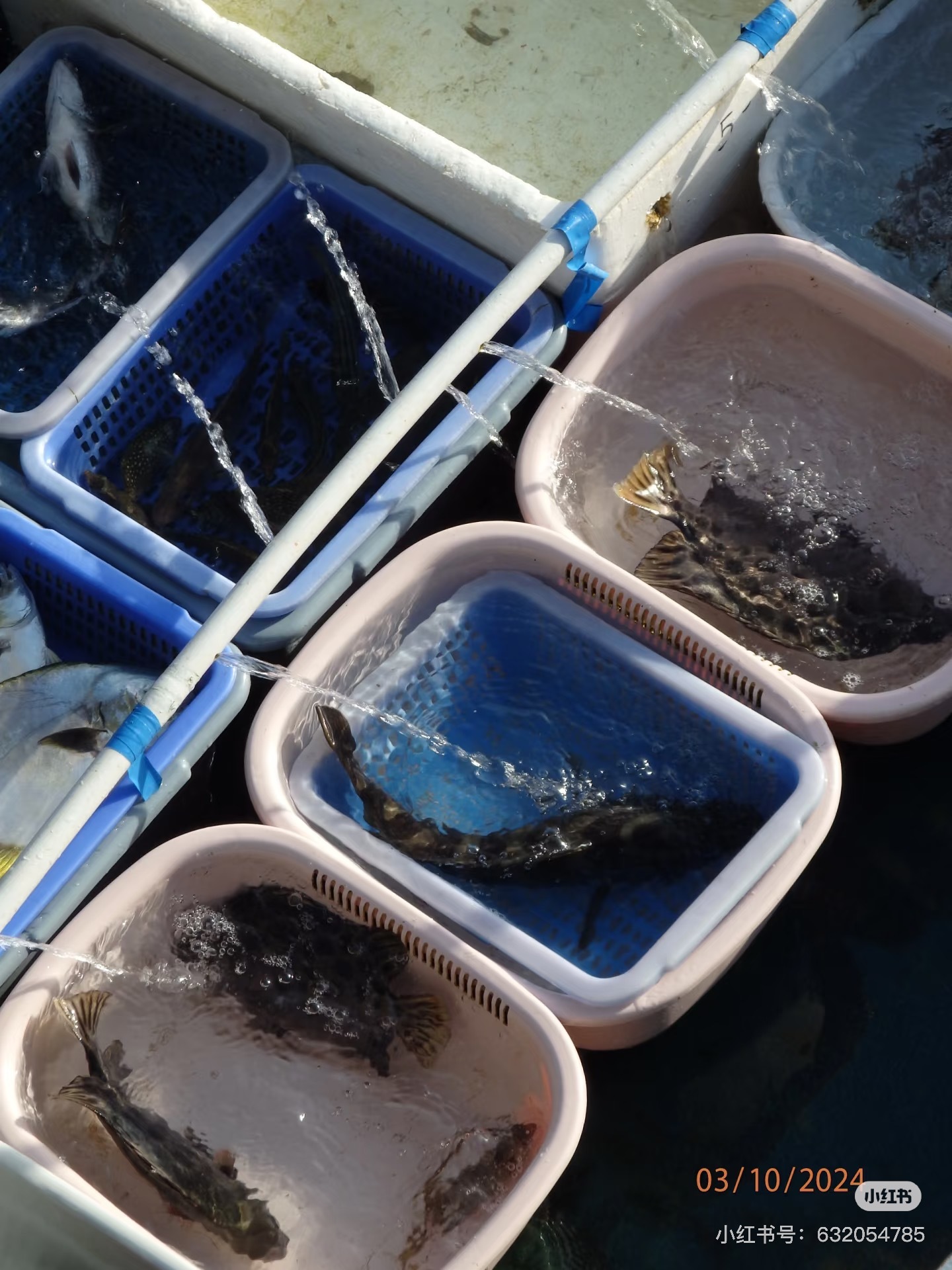 image_8E39454F-5A62-41F2-993E-FE4820AB9344_1751093312