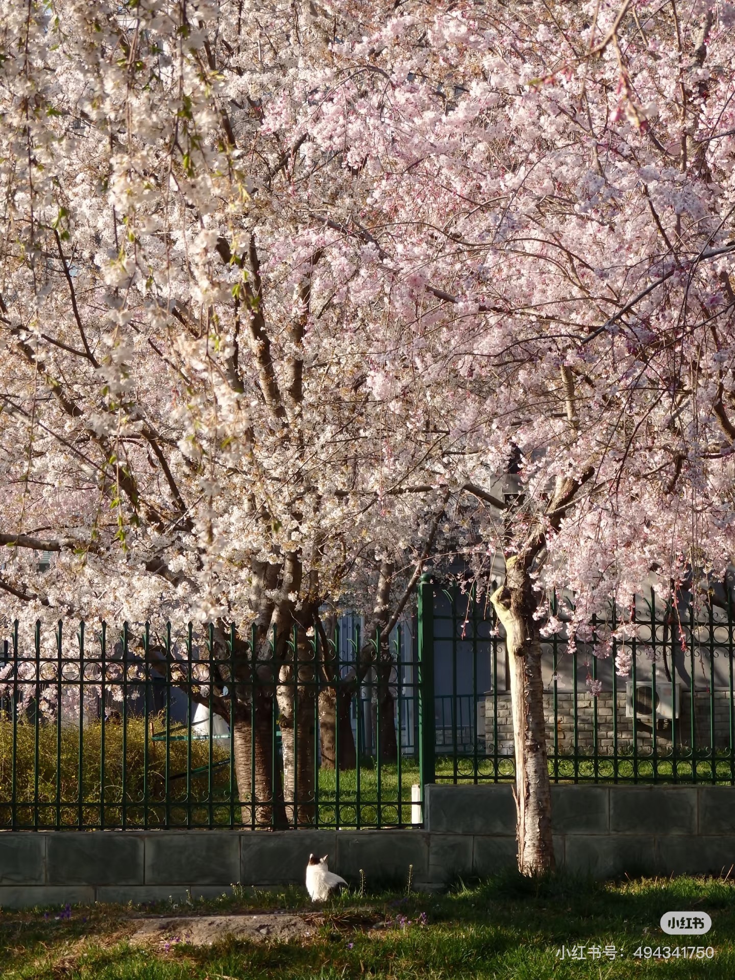 image_CA575B71-3F6C-4901-840F-223F3147CC23_1751093312