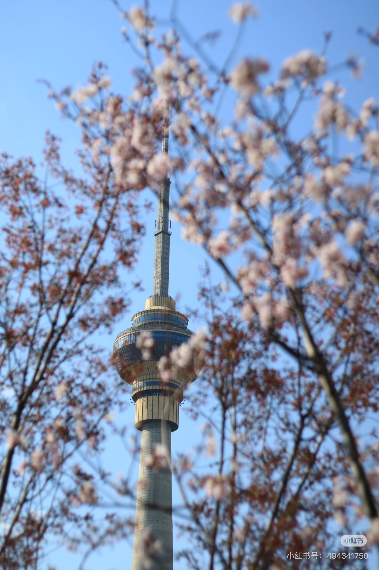 image_283A79C9-3B93-4605-8332-E90F1C85B0DC_1751093312