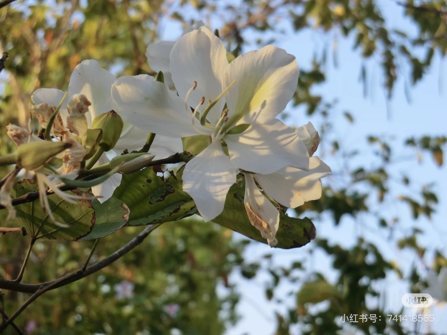 image_55D5DFB7-B4EF-4AA9-A125-3572089E4709_1753540790