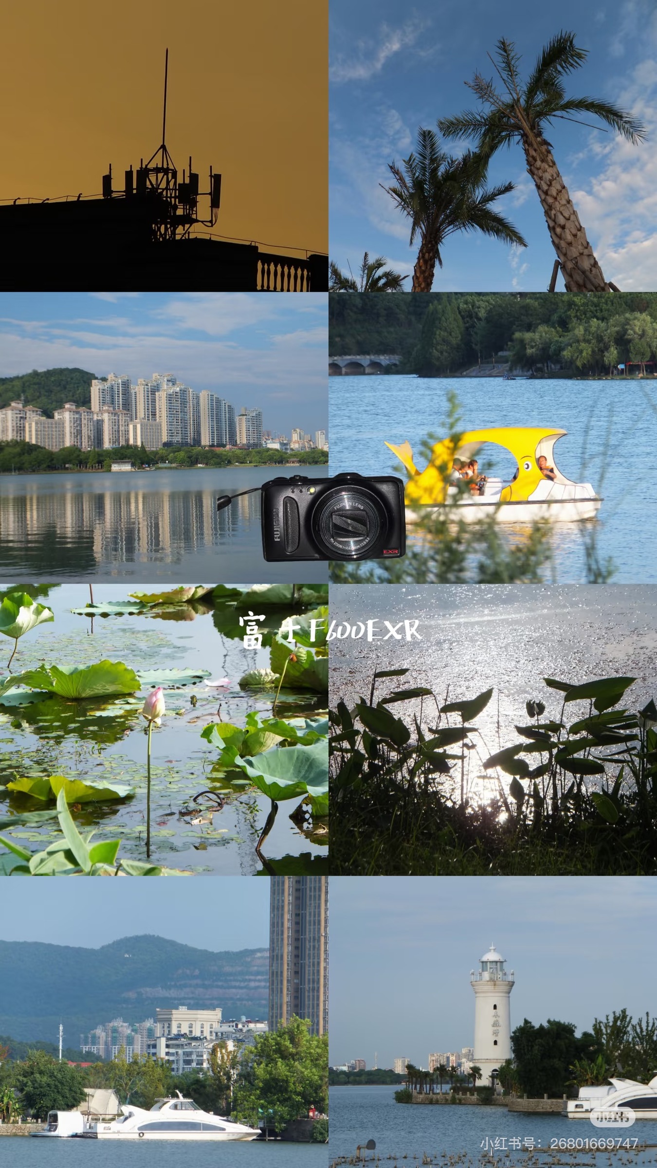 image_47E33FF3-A2EE-4D2E-A131-5053885ECA08_1755014022