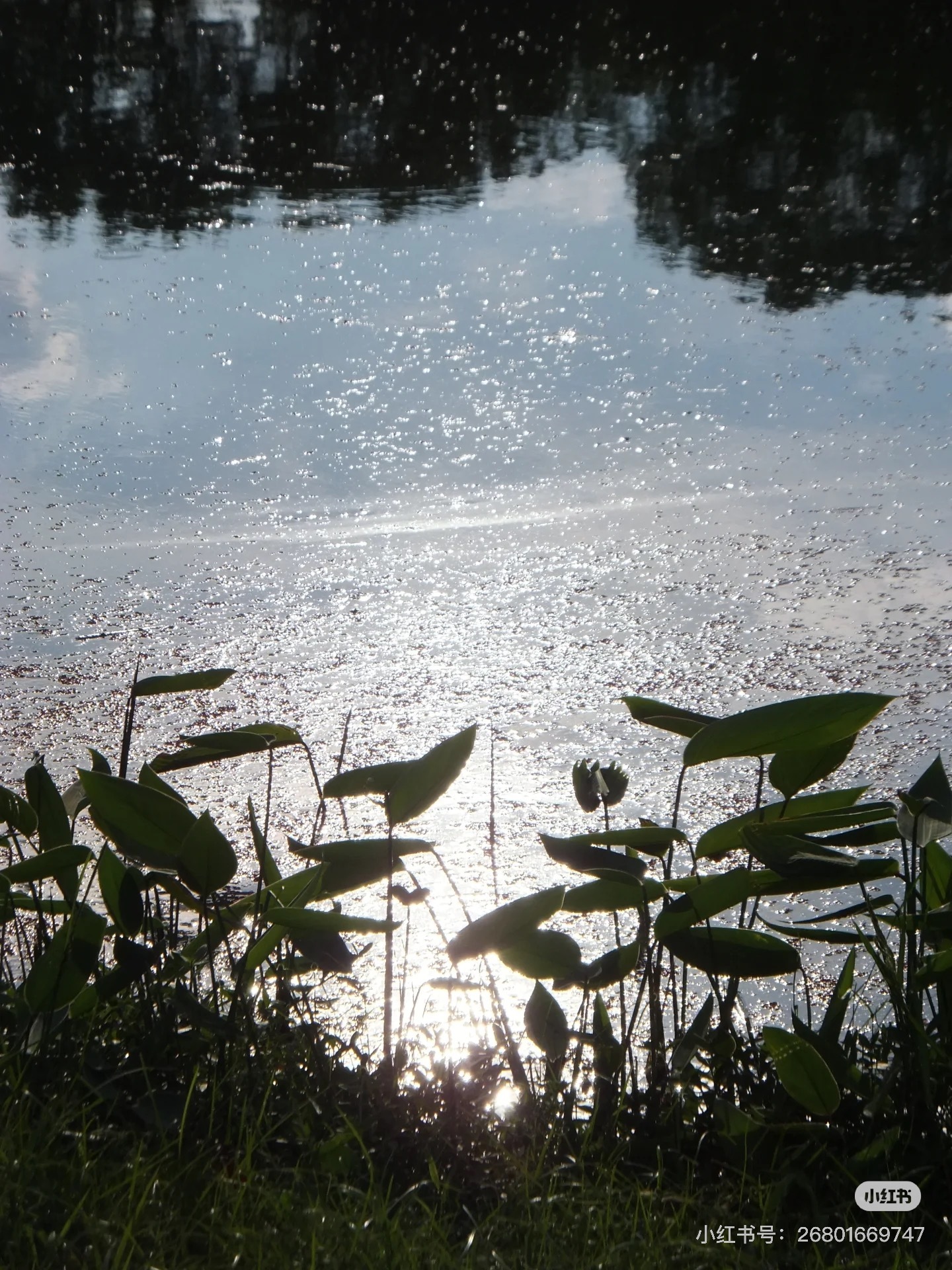 image_79419245-3BF2-47D6-95B2-6A06AE33EB03_1755014022