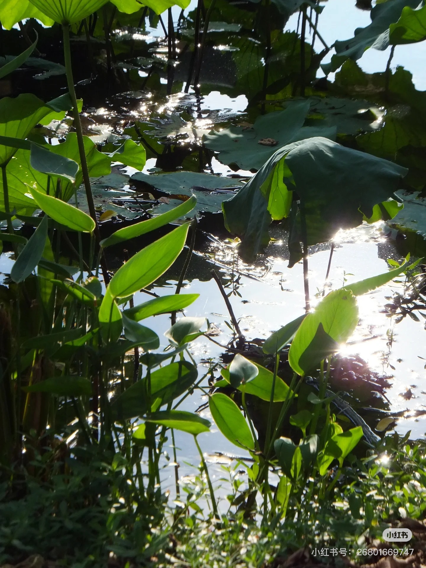 image_8A4BBF9F-A05B-4D03-B1B3-2D6A4FD30EC4_1755014022