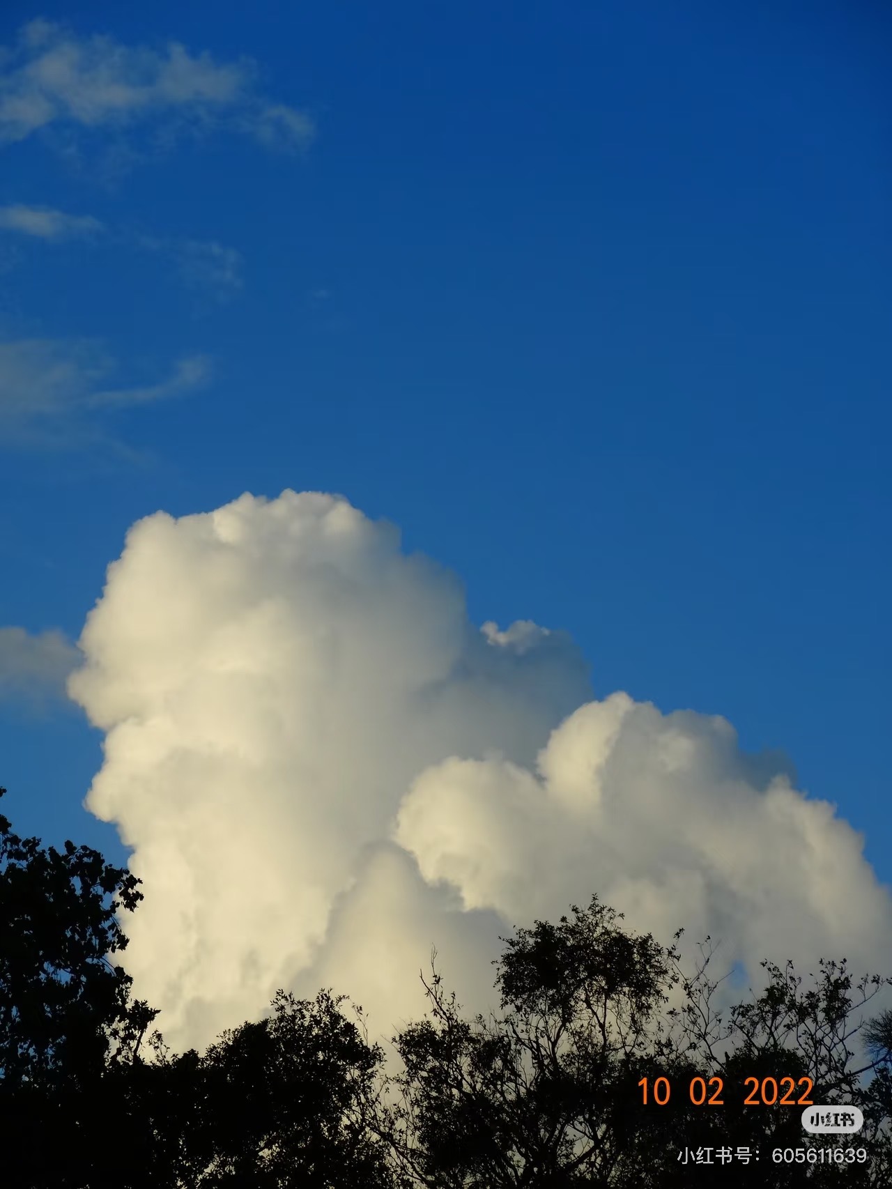 image_07CB7AAD-E4F0-4783-8883-FDE99D38330C_1756368821