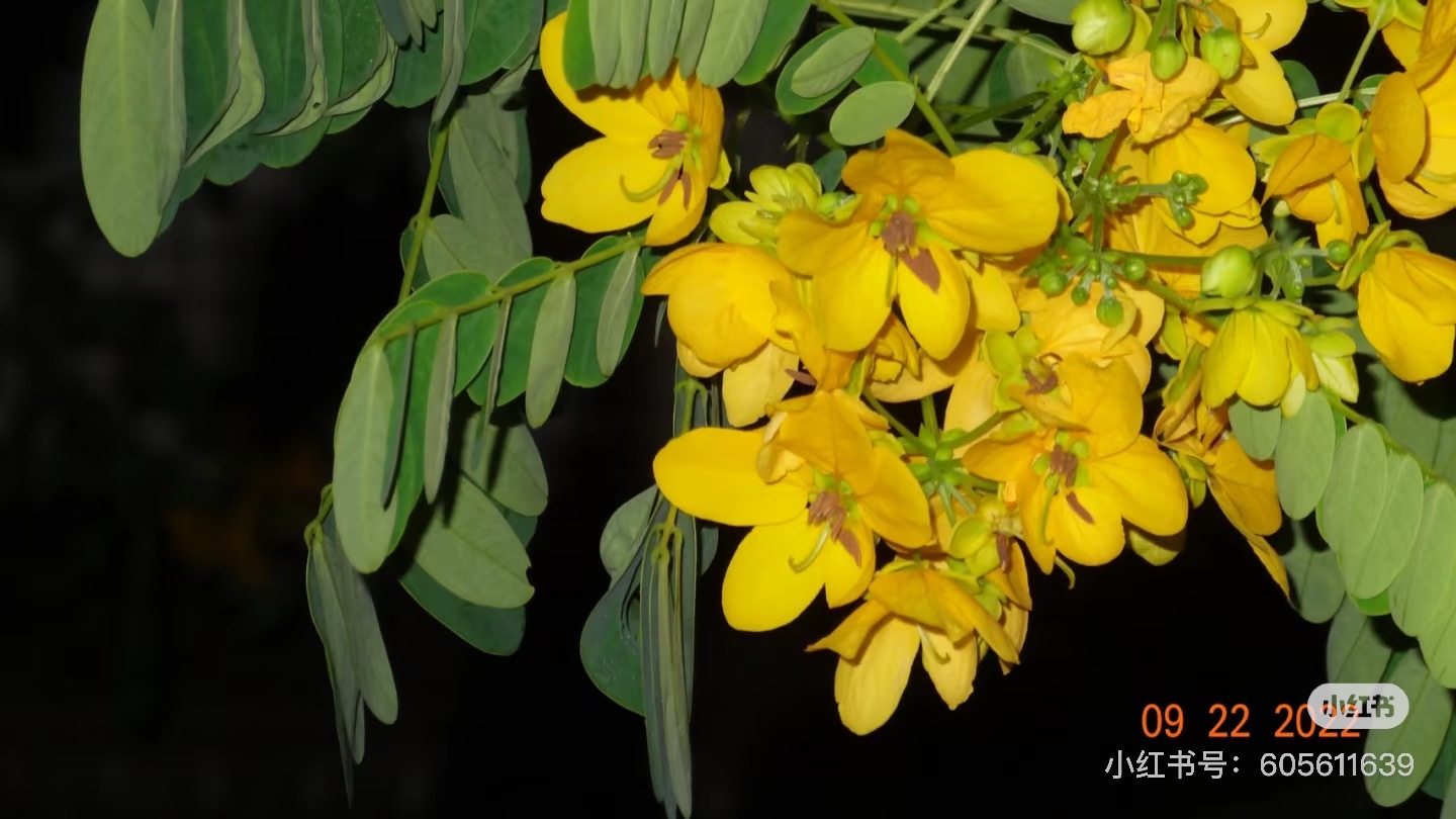 image_8972997F-4384-4419-AA9F-F6F66CC43EF4_1756368821