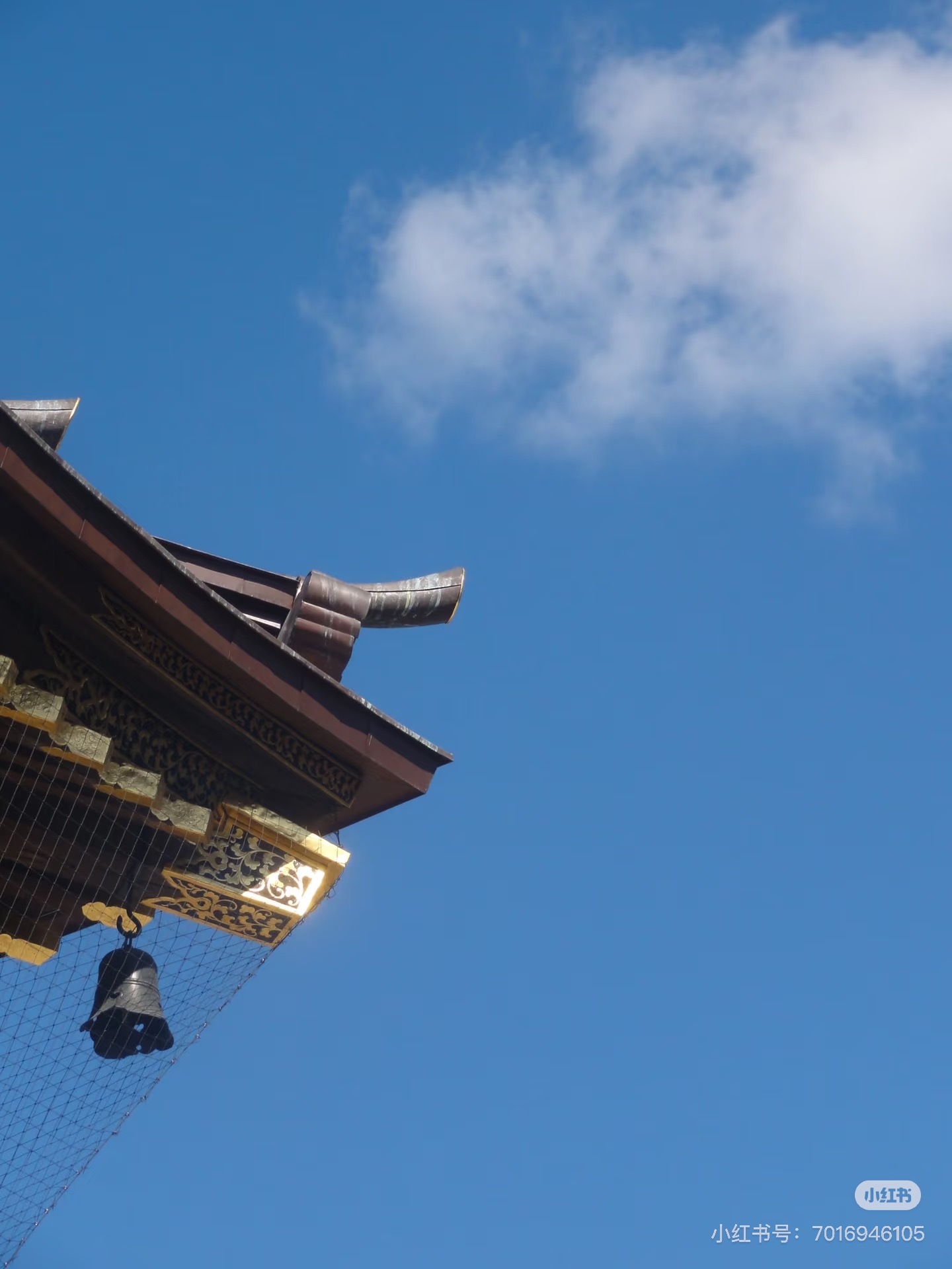 image_755B3D4C-B2C4-4FE9-A1C3-BE0E6C9BCBB2_1756368821