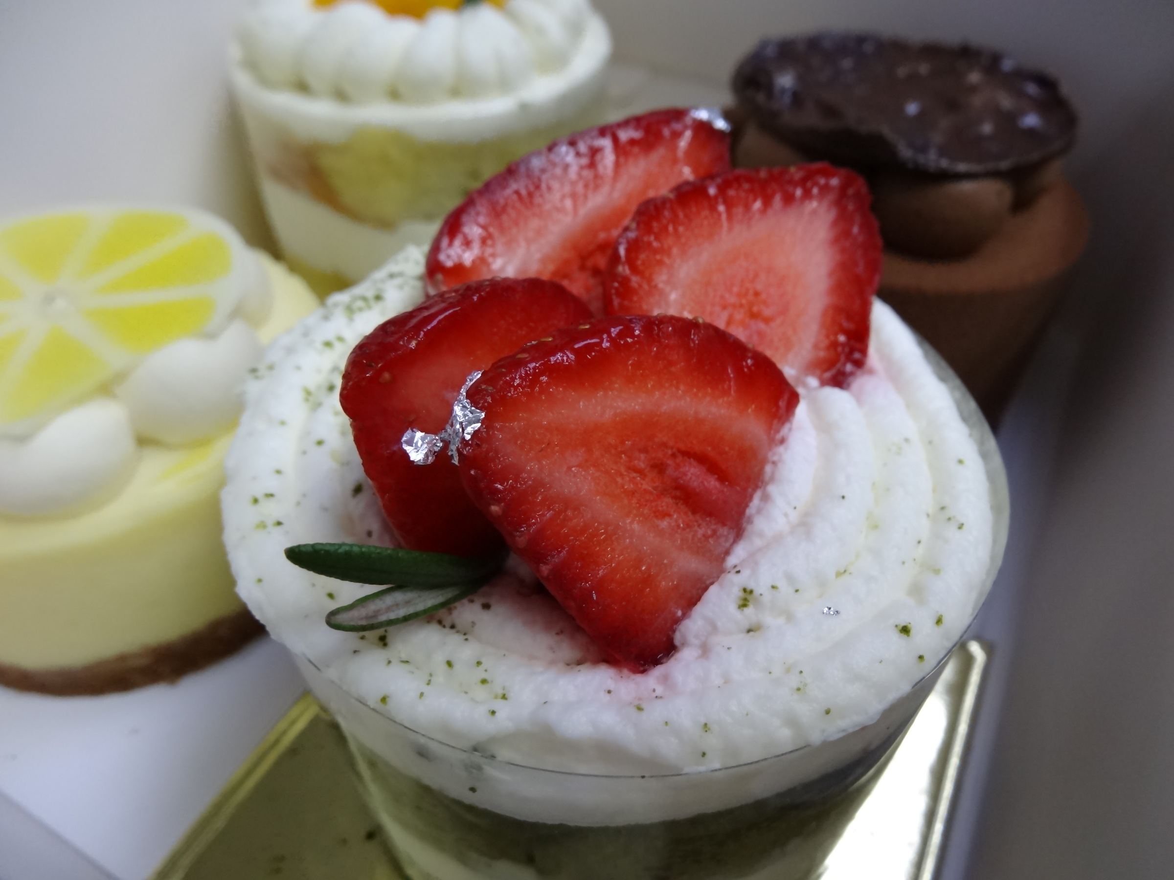 image_D2AE4244-BFB4-4A2A-8E63-7587EC507606_1756368821