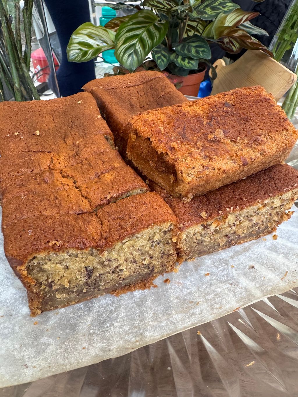 image_E2E5F958-E667-4A18-B73B-CAA219F1217F_1758880148