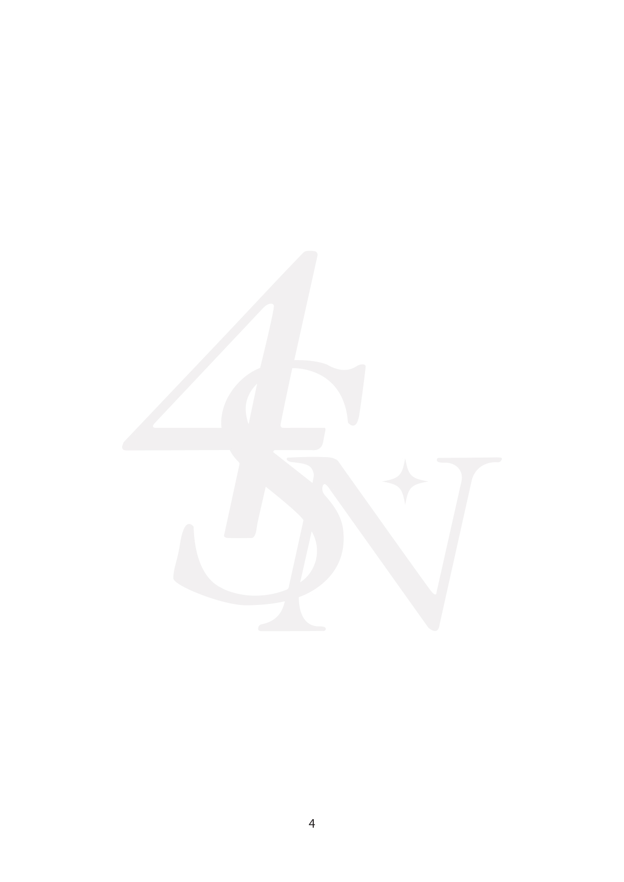 TERMS & CONDITIONS 4SN_page-0004