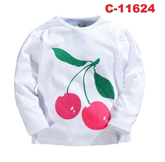 C-11624 (C3)