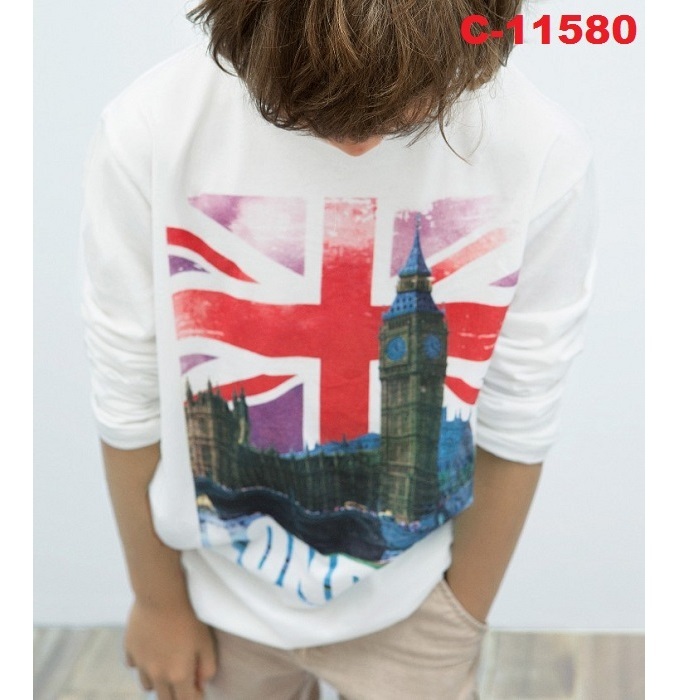 C-11580 (C3)