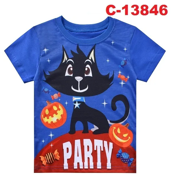 C-13846