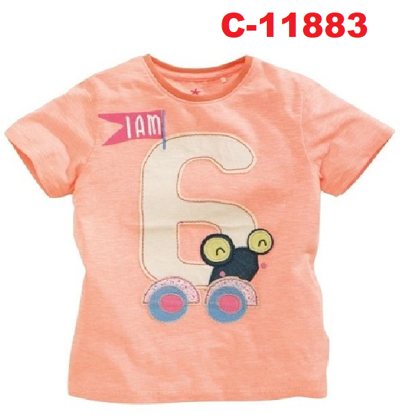 C-11883