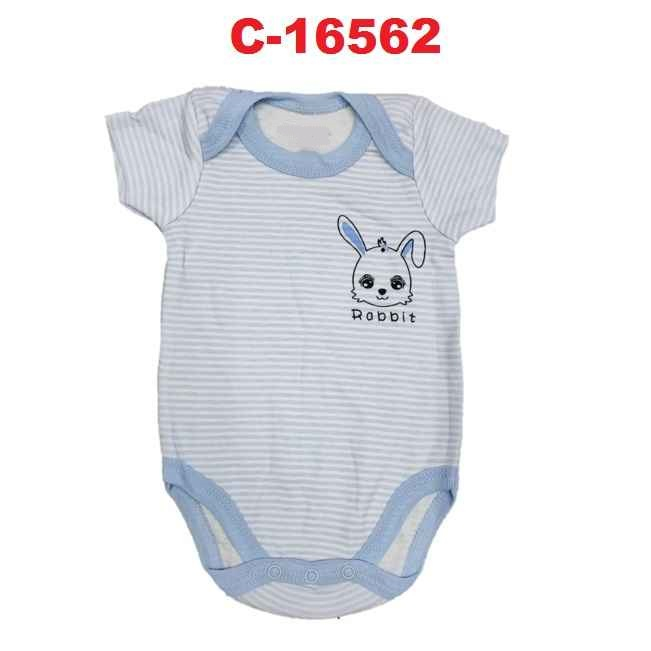 C-16562 (B32)