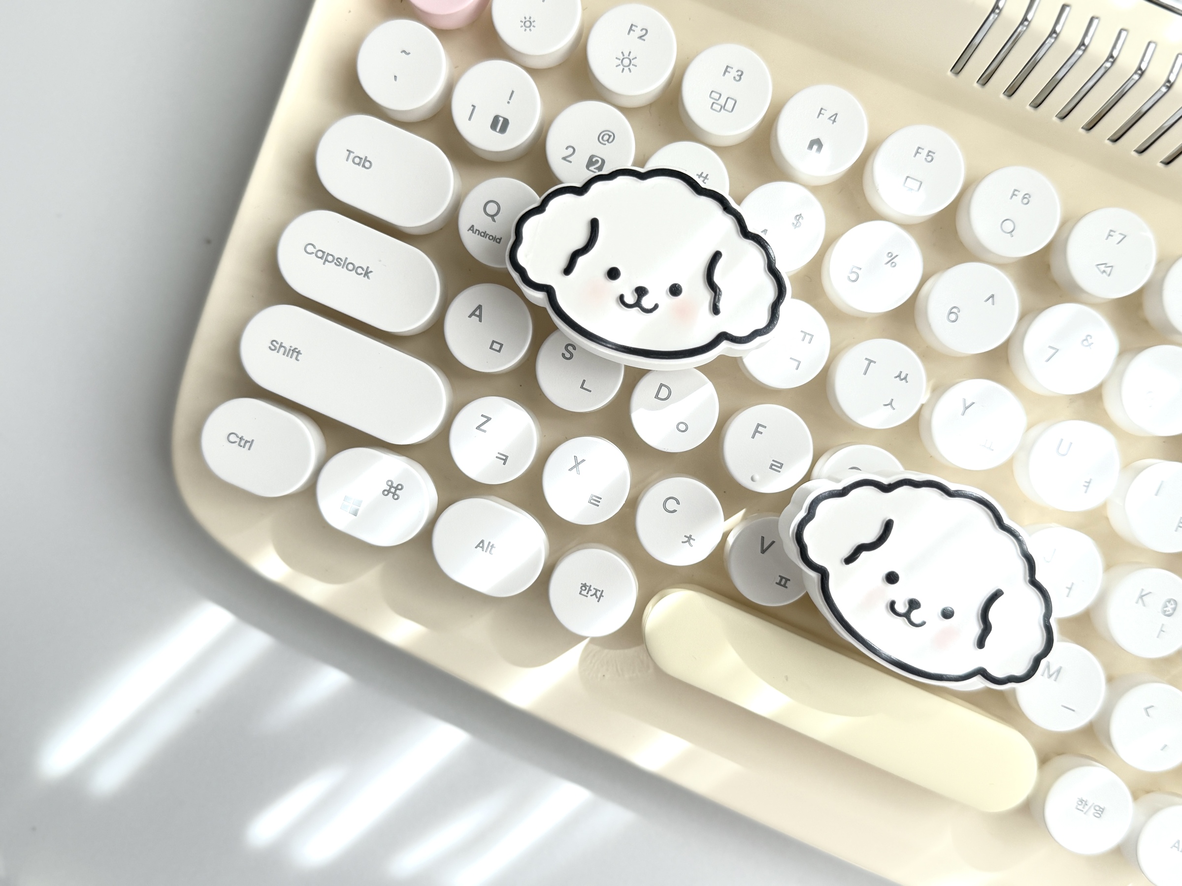 image_2D35025A-CF75-4CCD-BCAD-1E2E7981152A_1752632454