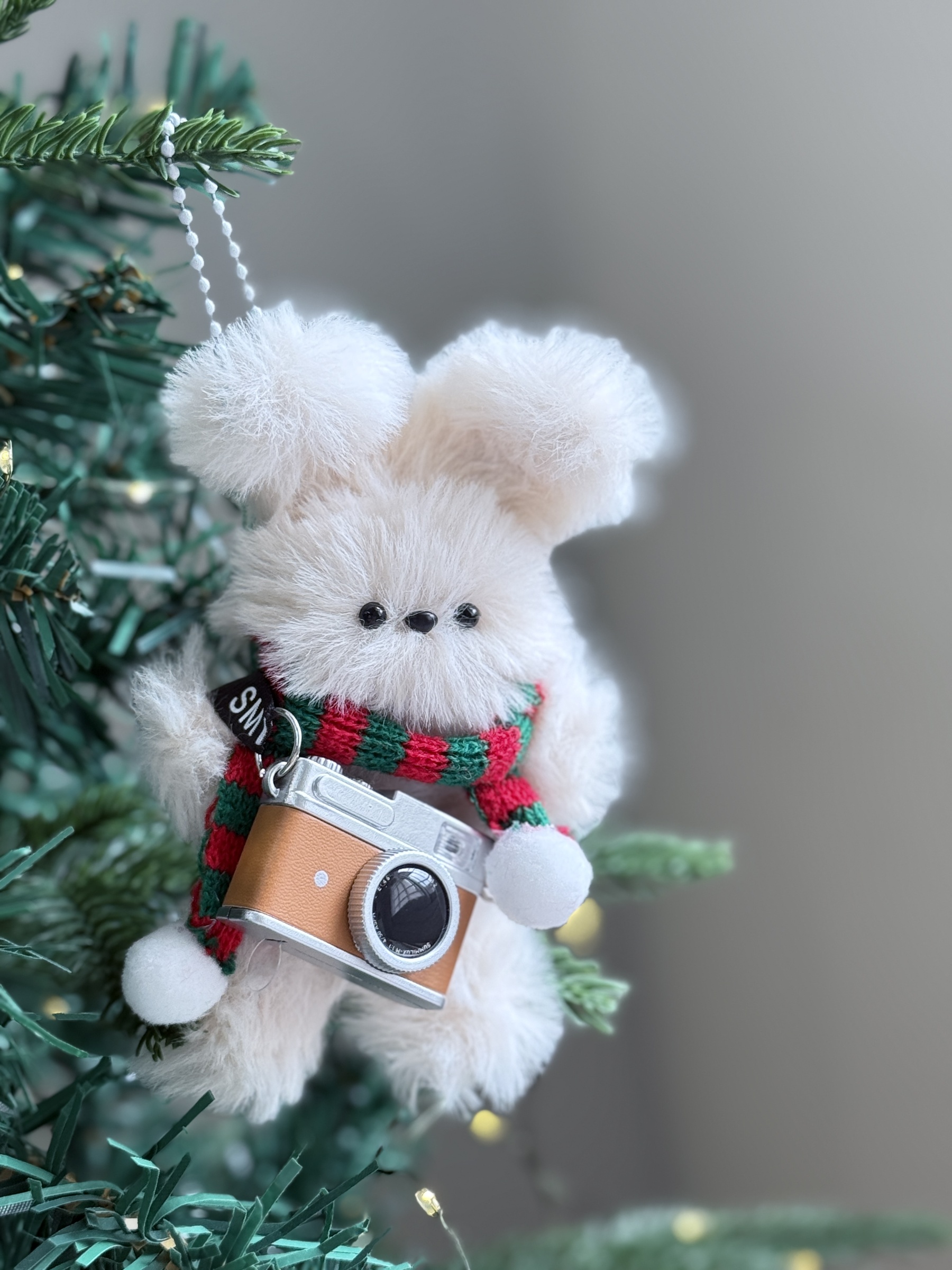 image_5C49F027-9EFB-4BCC-8A01-B3938D283B5E_1763609612