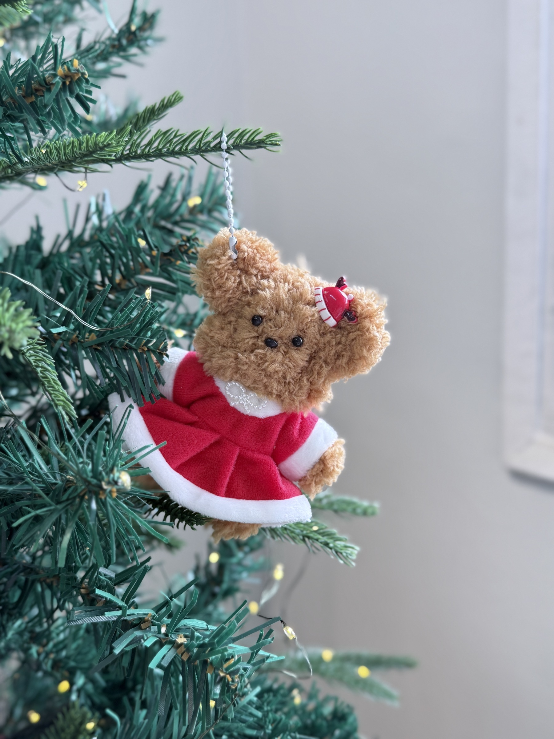 image_1B6763D1-4D54-4CED-AAFC-72717EF63714_1763610115