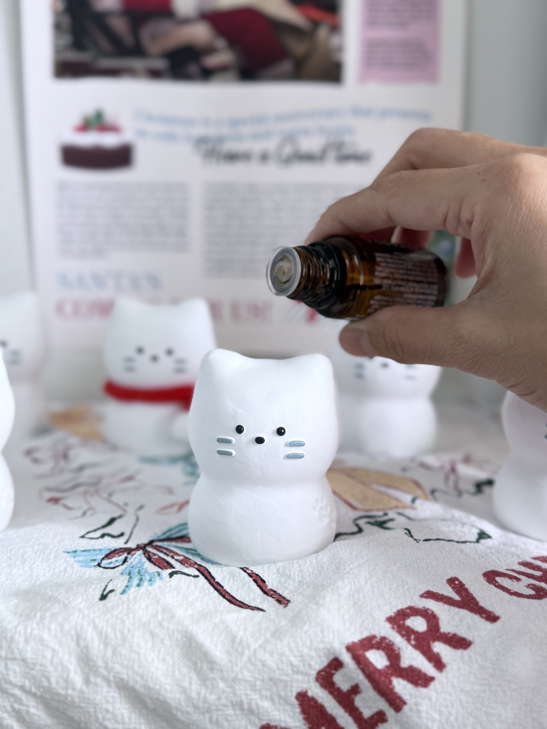 image_DDE42536-9A1E-4CAF-B3D8-002B90516FC2_1764077303